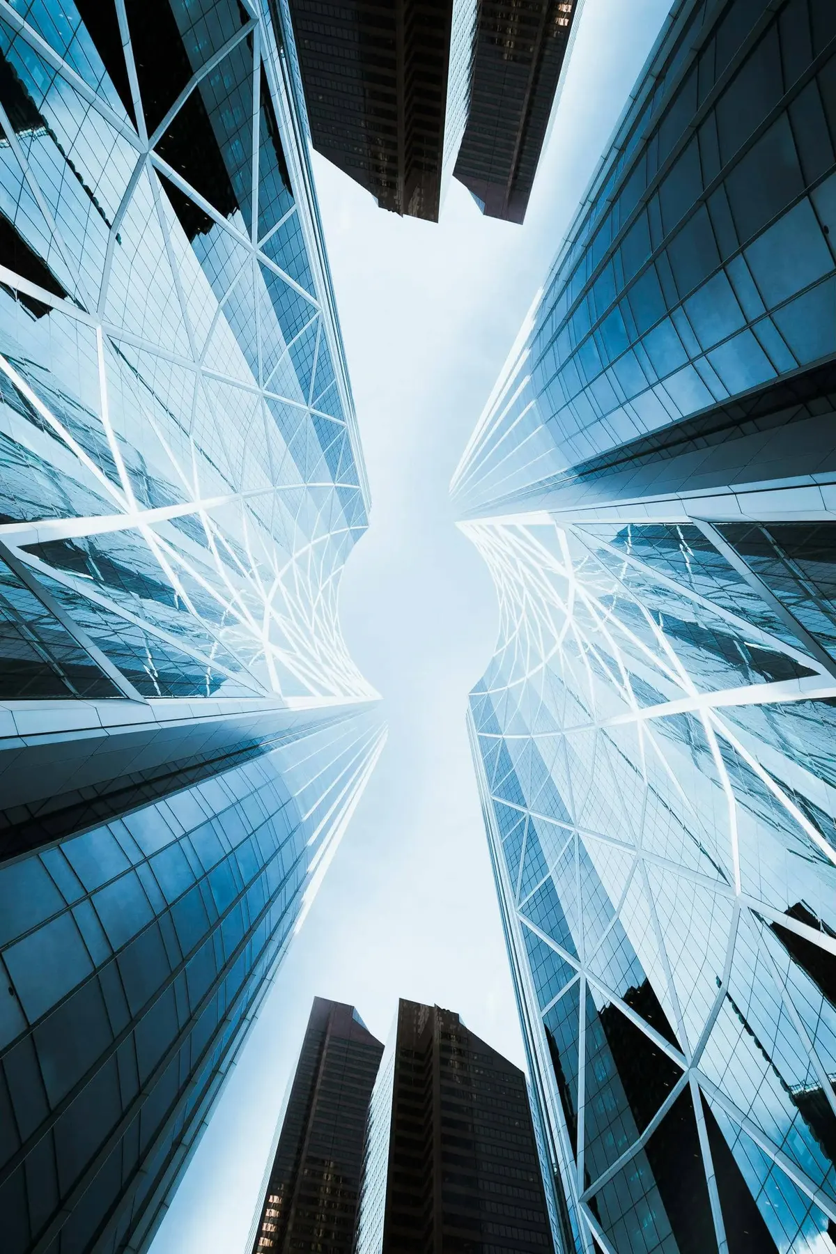 Commercial Glass Installation Process